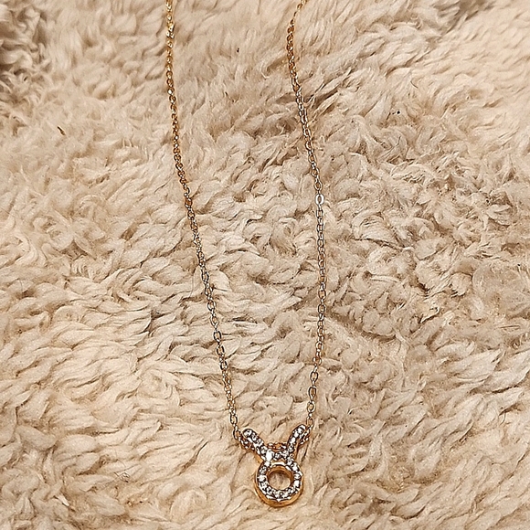 Dainty Taurus Necklace - Picture 2 of 6